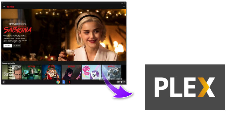 plex media player netflix plex media player netflix