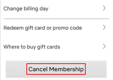 cancel netflix on app