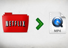 convert netflix to MP4