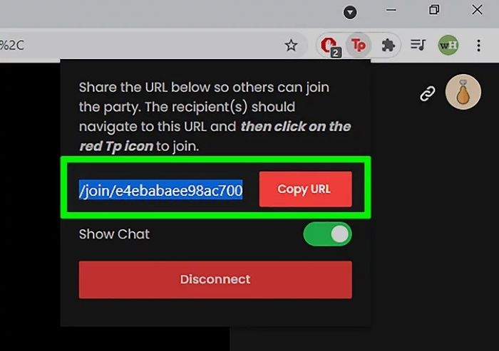 copy teleparty url