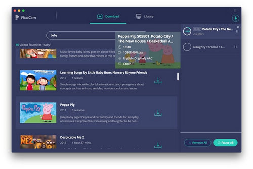netflix video downloader