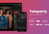 stream netflix on teleparty