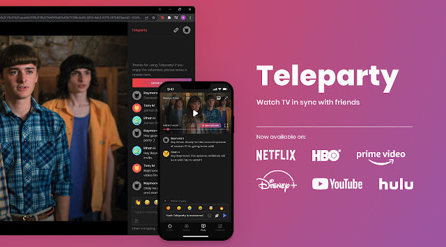 watch netflix on teleparty