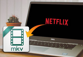 netflix to mkv