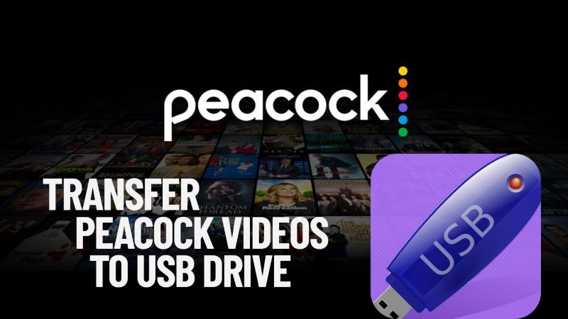 peacock video downloader