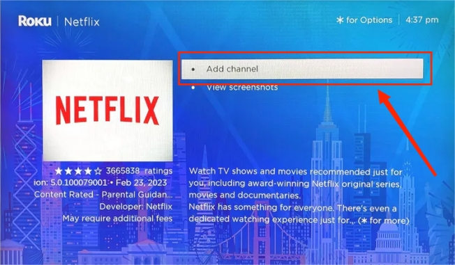 roku netflix add channel