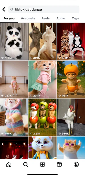 tiktok on instagram