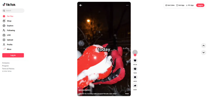 tiktok web version