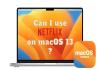 use netflix on macos 13