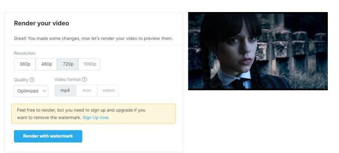 wavevideo editor