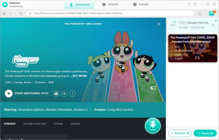 see hulu downloads